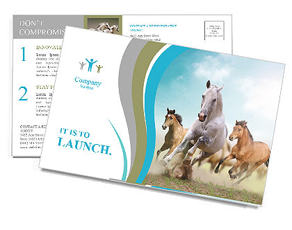 Three beautiful horses running Postcard Template