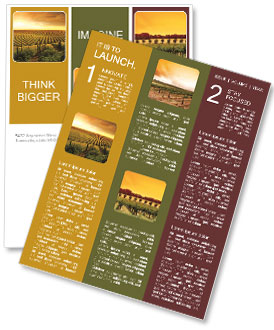 美丽日落的巴罗莎葡萄园 新闻分送