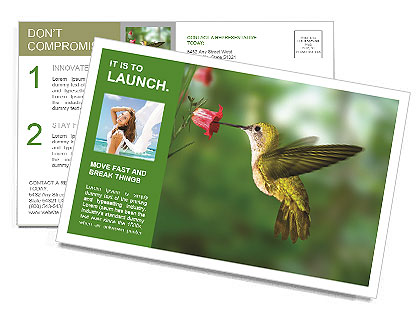 Hummingbird Postcard Template