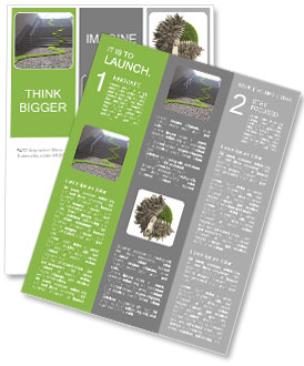 Urban ecology concept - grass strop over stairs Newsletter Template