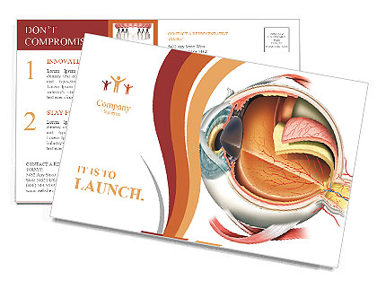Anatomy of the eye Postcard Template