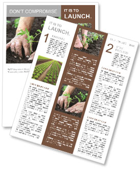 Planting a tomatoes seedling Newsletter Template