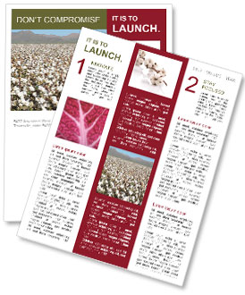 Cotton Fields: Plantation, Harvesting, And Production Processes Explained In Detail Newsletter Template