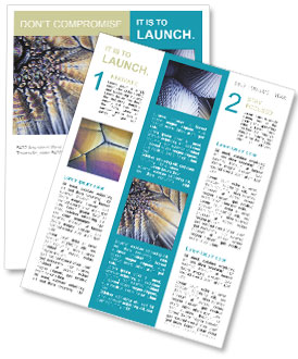 Microphoto Newsletter Template