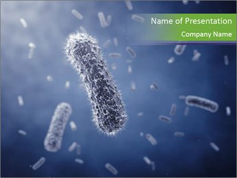 Rod-shaped bacteria PowerPoint Template