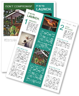 Blue Tit Eating From Bird Feeder: A Delightful Sight For Bird Lovers Newsletter Template