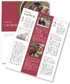 Growling North American Grizzly Bear: Facts And Information Newsletter Template