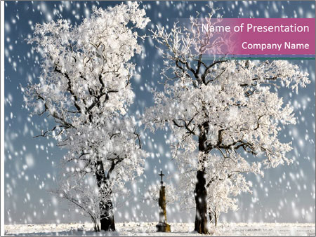 Czech Republic's Winter Landscape: Trees In The Snow Google Slides Theme