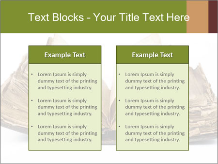 Isolated White Background Old Book - Vintage And Classic Design. Google Slides Theme - Slide 57