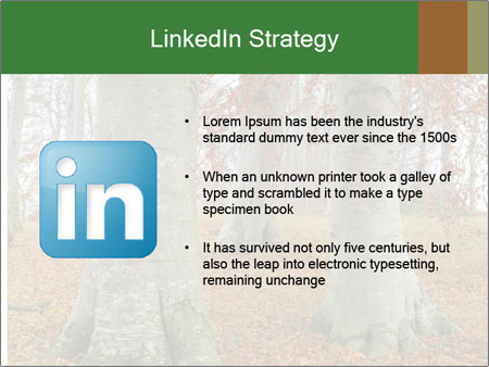 Captivating Autumn Image Of A Majestic Tree Google Slides Theme - Slide 12