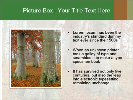 Captivating Autumn Image Of A Majestic Tree Google Slides Theme - Slide 13