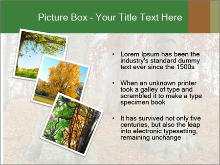 Captivating Autumn Image Of A Majestic Tree Google Slides Theme - Slide 17