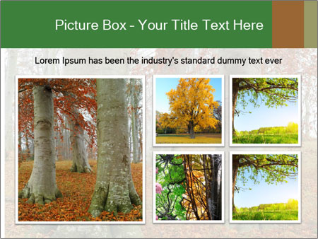 Captivating Autumn Image Of A Majestic Tree Google Slides Theme - Slide 19