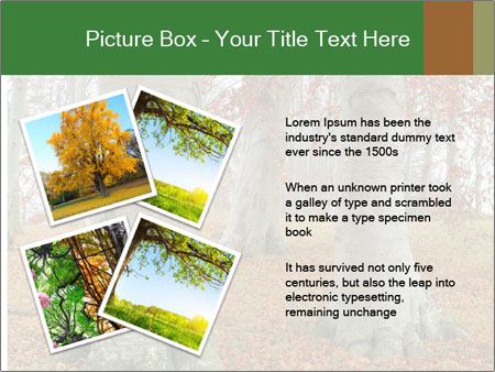 Captivating Autumn Image Of A Majestic Tree Google Slides Theme - Slide 23