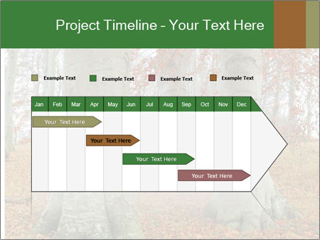 Captivating Autumn Image Of A Majestic Tree Google Slides Theme - Slide 25