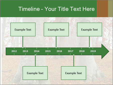 Captivating Autumn Image Of A Majestic Tree Google Slides Theme - Slide 28