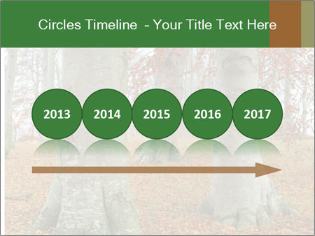 Captivating Autumn Image Of A Majestic Tree Google Slides Theme - Slide 29