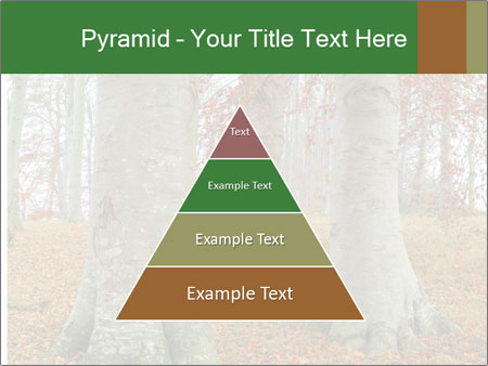 Captivating Autumn Image Of A Majestic Tree Google Slides Theme - Slide 30