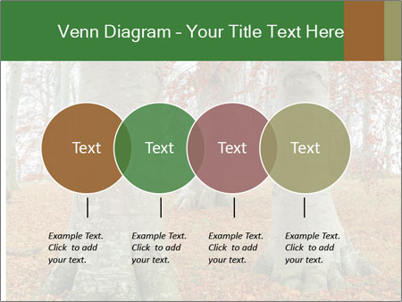 Captivating Autumn Image Of A Majestic Tree Google Slides Theme - Slide 32