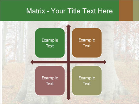 Captivating Autumn Image Of A Majestic Tree Google Slides Theme - Slide 37