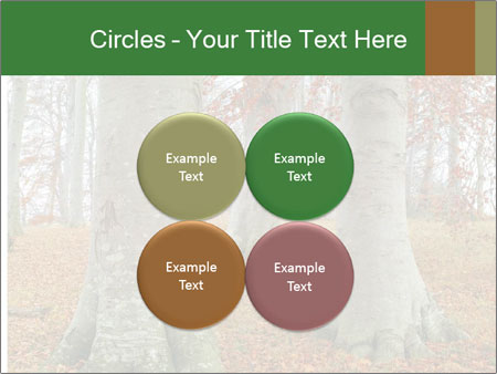 Captivating Autumn Image Of A Majestic Tree Google Slides Theme - Slide 38