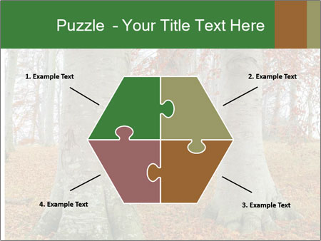 Captivating Autumn Image Of A Majestic Tree Google Slides Theme - Slide 40