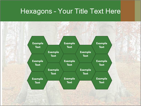 Captivating Autumn Image Of A Majestic Tree Google Slides Theme - Slide 44