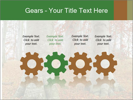 Captivating Autumn Image Of A Majestic Tree Google Slides Theme - Slide 48