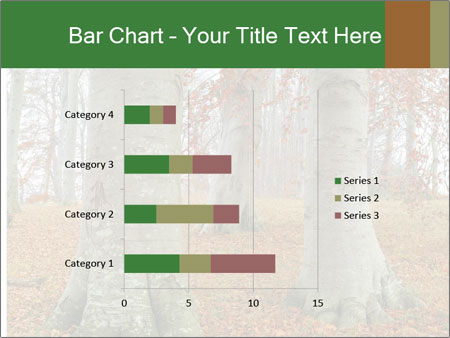Captivating Autumn Image Of A Majestic Tree Google Slides Theme - Slide 52