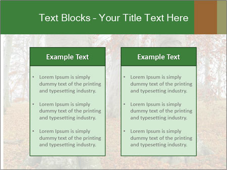 Captivating Autumn Image Of A Majestic Tree Google Slides Theme - Slide 57