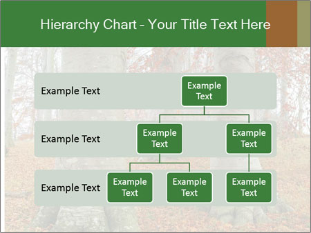 Captivating Autumn Image Of A Majestic Tree Google Slides Theme - Slide 67