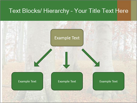 Captivating Autumn Image Of A Majestic Tree Google Slides Theme - Slide 69