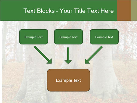 Captivating Autumn Image Of A Majestic Tree Google Slides Theme - Slide 70