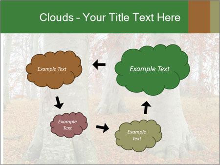 Captivating Autumn Image Of A Majestic Tree Google Slides Theme - Slide 72