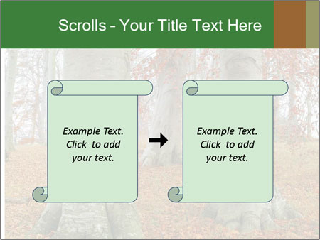 Captivating Autumn Image Of A Majestic Tree Google Slides Theme - Slide 74