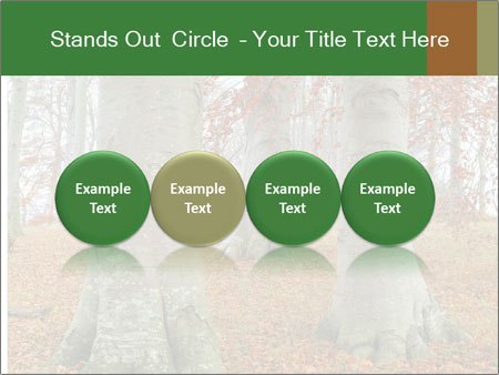 Captivating Autumn Image Of A Majestic Tree Google Slides Theme - Slide 76