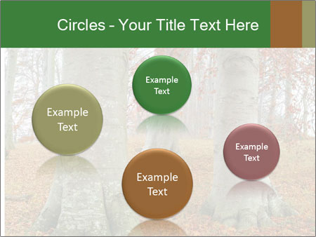 Captivating Autumn Image Of A Majestic Tree Google Slides Theme - Slide 77