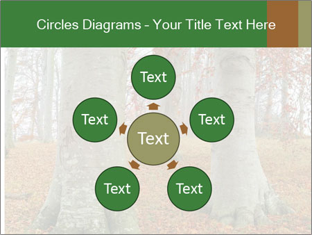 Captivating Autumn Image Of A Majestic Tree Google Slides Theme - Slide 78