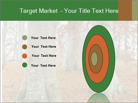 Captivating Autumn Image Of A Majestic Tree Google Slides Theme - Slide 84