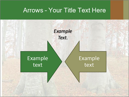 Captivating Autumn Image Of A Majestic Tree Google Slides Theme - Slide 90