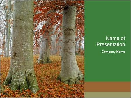 Captivating Autumn Image Of A Majestic Tree Google Slides Theme