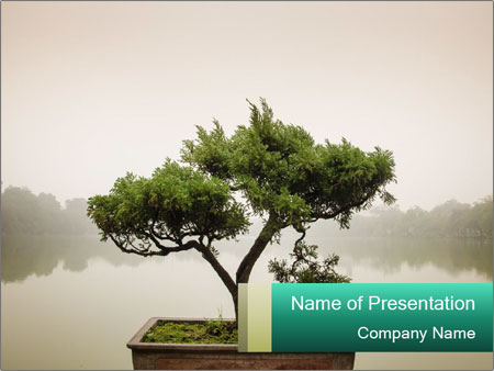 Zen Garden Decorated With Japanese Bonsai Tree In A Pot - An Art Form Cultivating Trees In Containers Google Slides Theme
