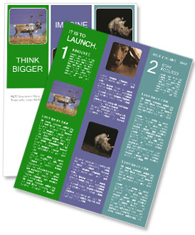 Grazing Male Caribou In Toklat River Basin: A Natural Wildlife Scene Newsletter Template