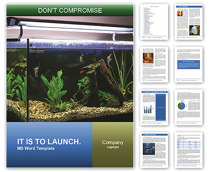 Lighted Aquarium With Tropical Fish Swimming For A Vibrant Display Word Template