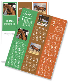 Competitive Horse Jumping: Spectacular Performances At The Event Newsletter Template