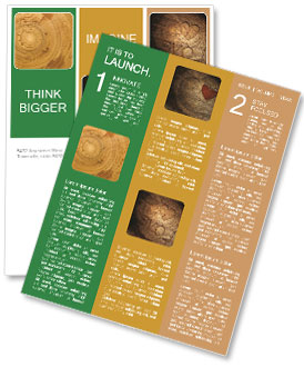 700-Year-Old Cypress Tree With Detailed Wood Grain Texture And Tight Rings Newsletter Template